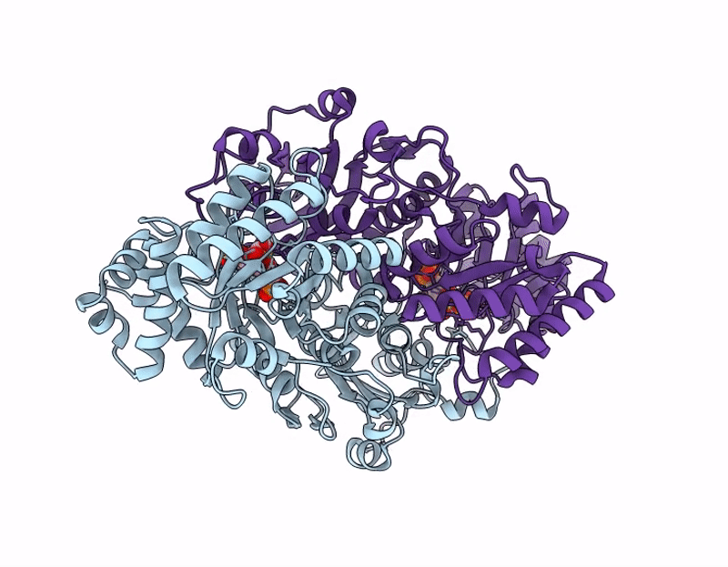9I28 image