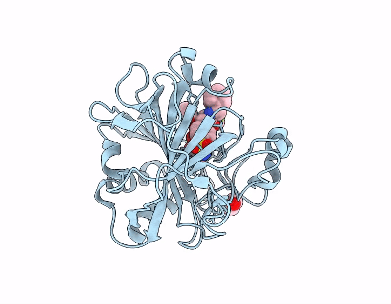 9I29 image