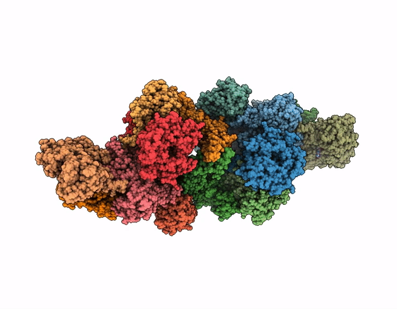 9I2B image