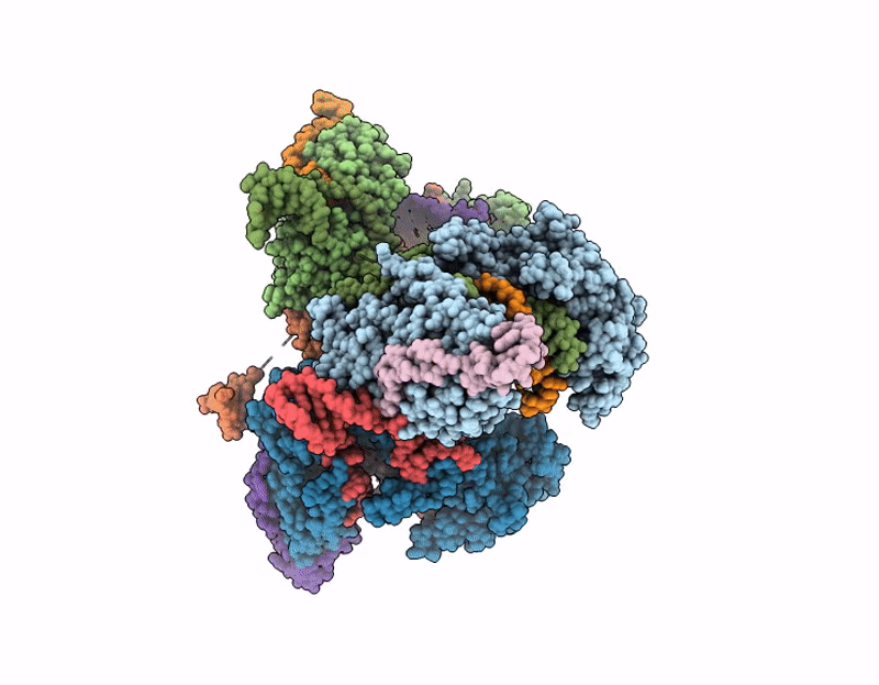 9I2F image