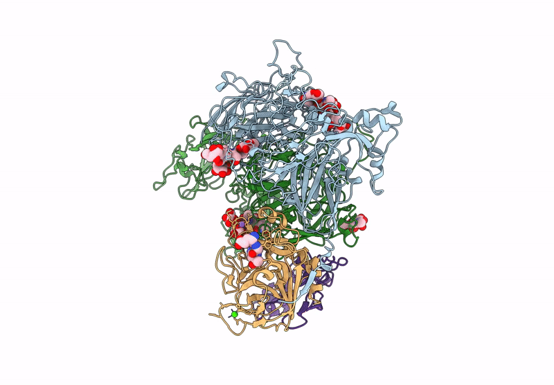 9I2H image