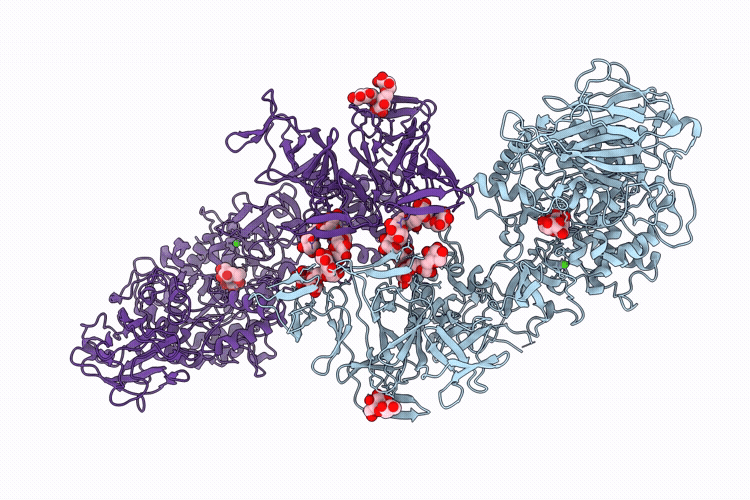 9I2J image
