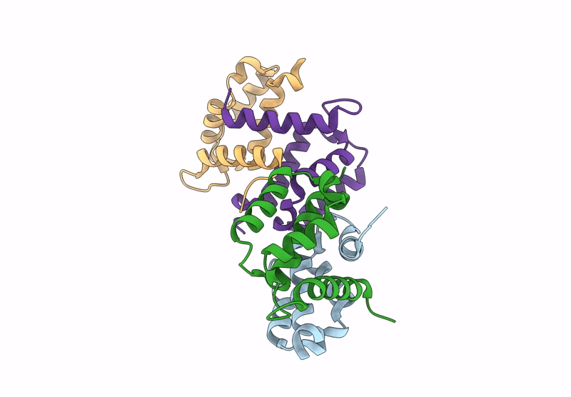 9I2N image