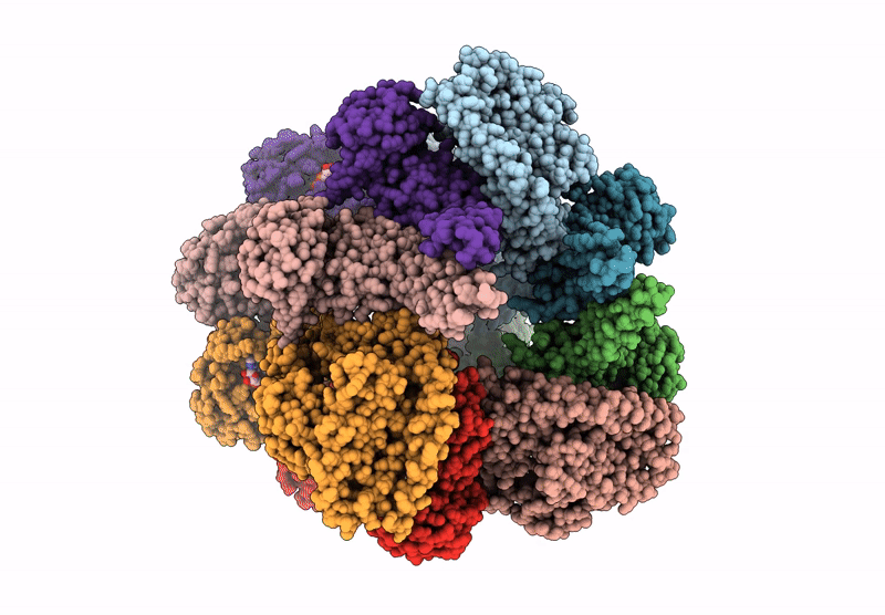 9I2Q image