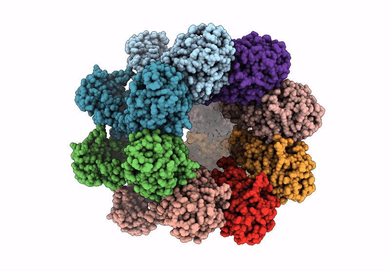 9I2R image