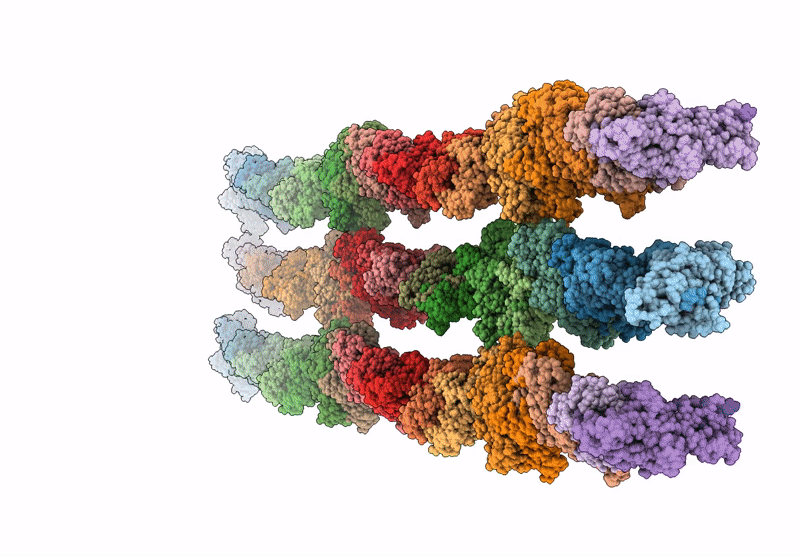 9I3N image