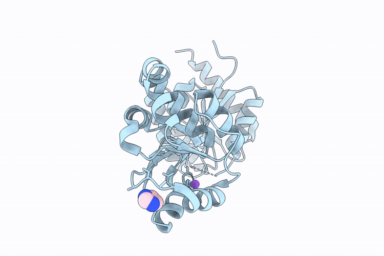 9I49 image
