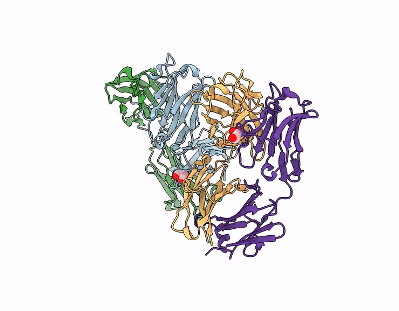 9I4B image