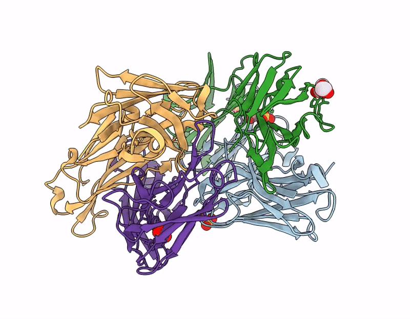 9I4D image