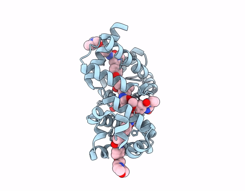 9I4J image
