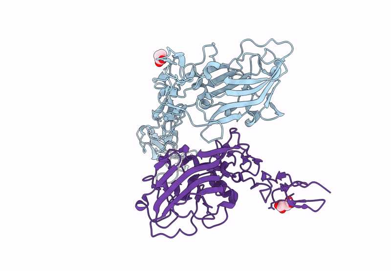 9I5B image