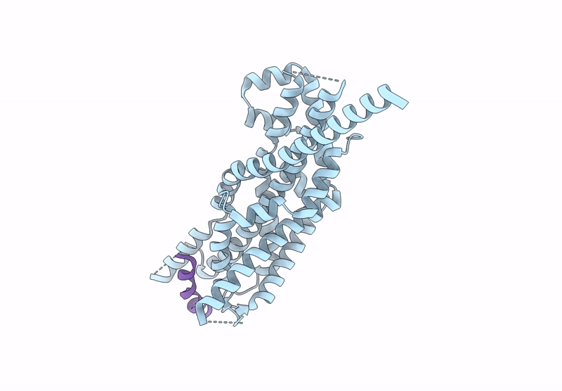 9I5R image