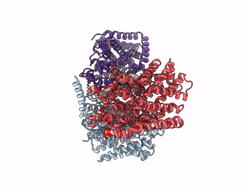 9I60 image