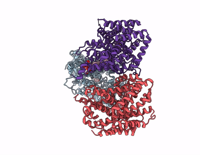 9I61 image