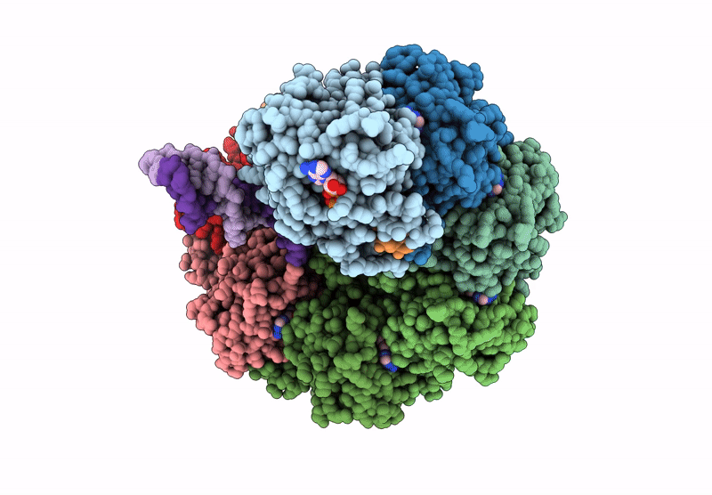 9I62 image