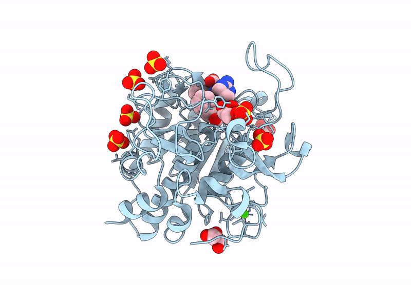 9I67 image