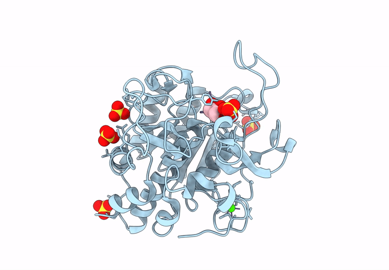 9I6C image