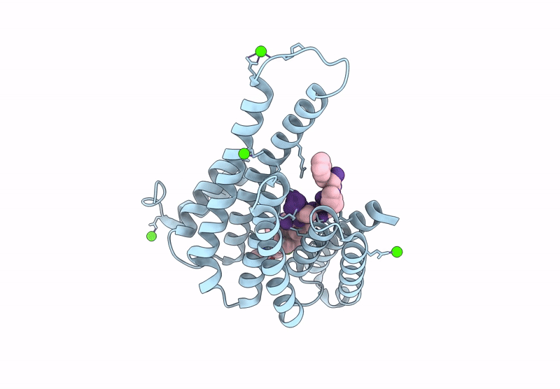 9I6V image