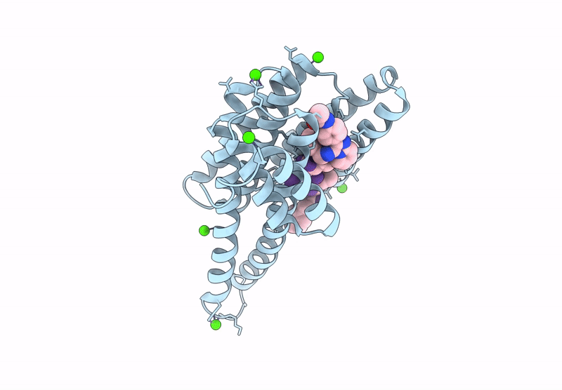 9I6Z image