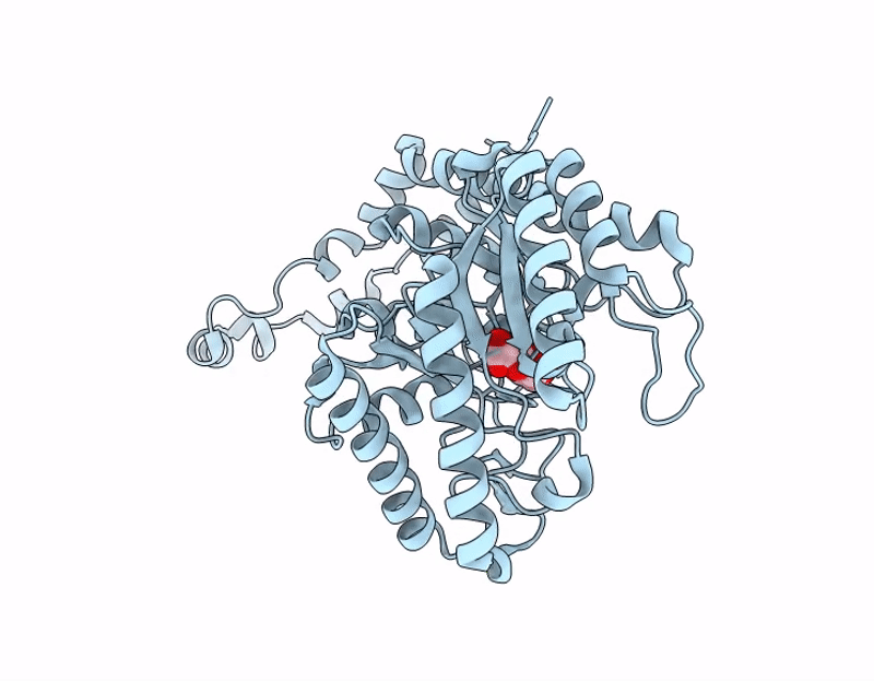 9I79 image