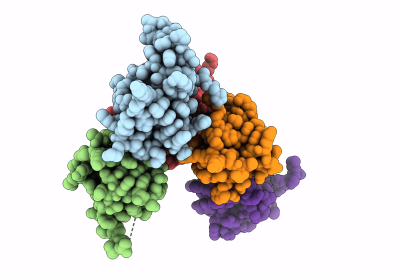 9I7J image