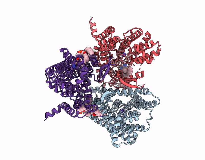 9I7V image