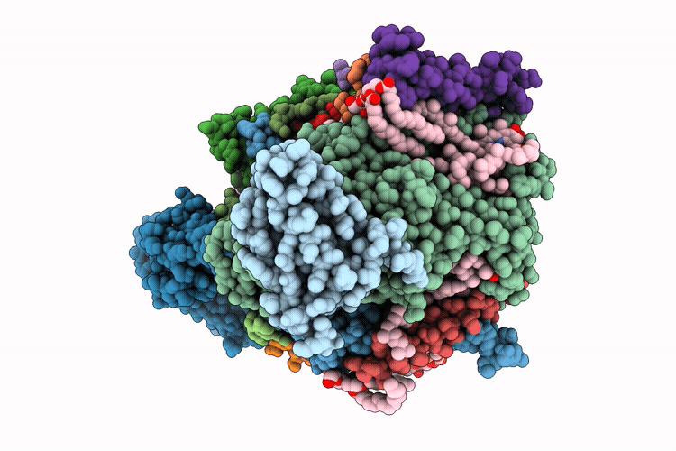 9I82 image