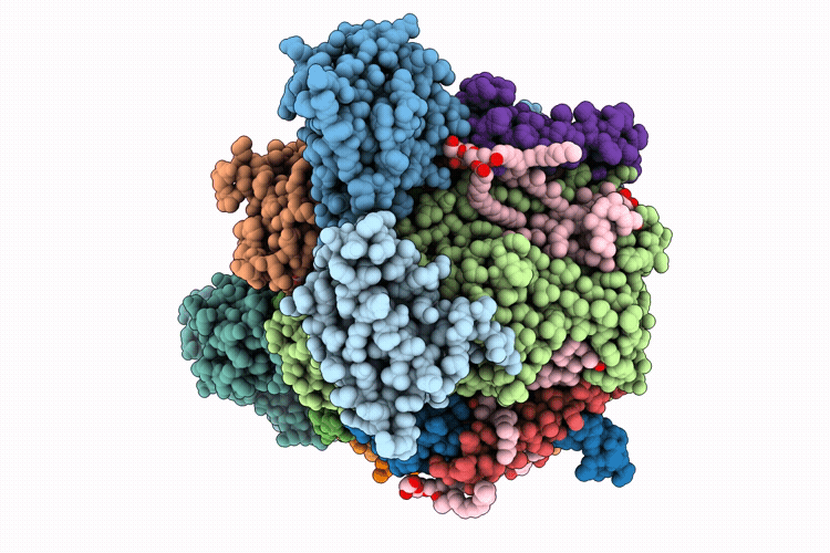 9I83 image