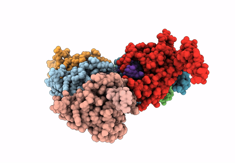9I86 image