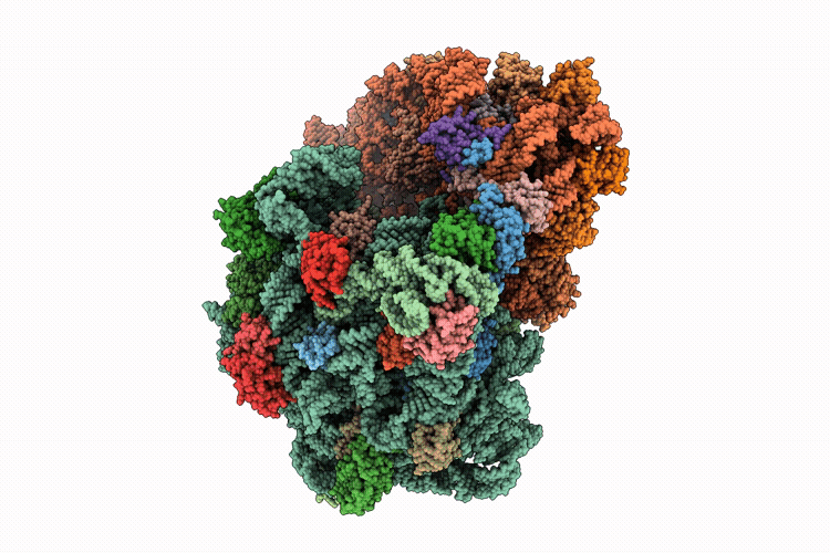 9I89 image