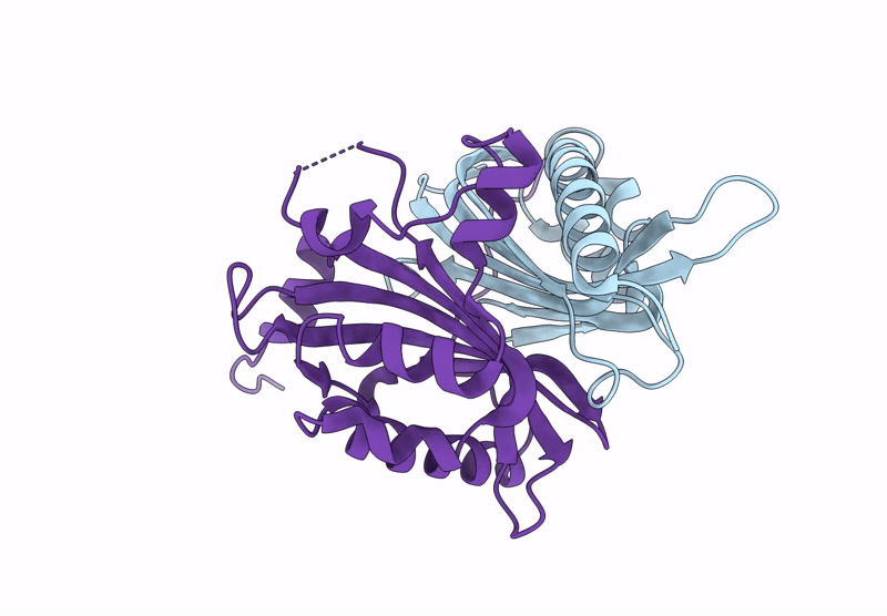 9I8A image