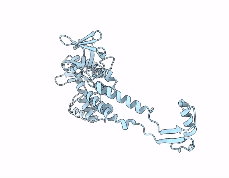 9I8C image
