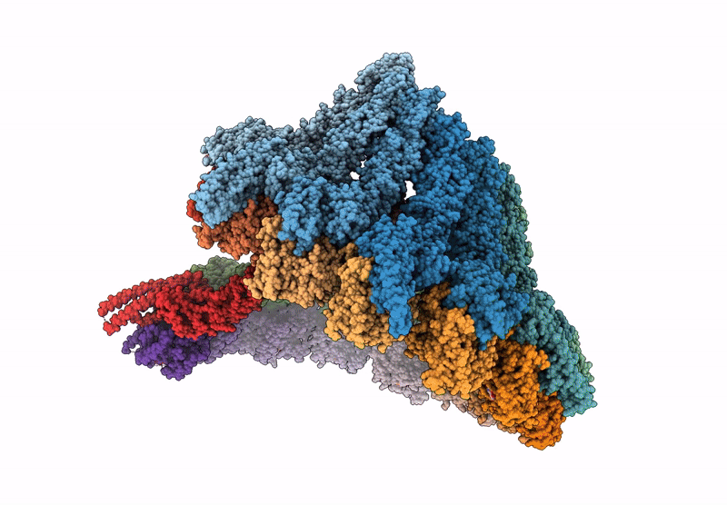 9I8H image