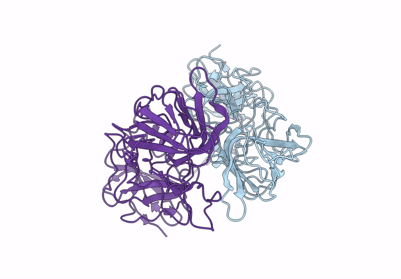 9I8J image
