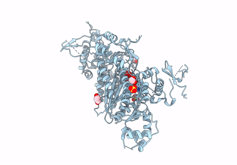 9I8P image
