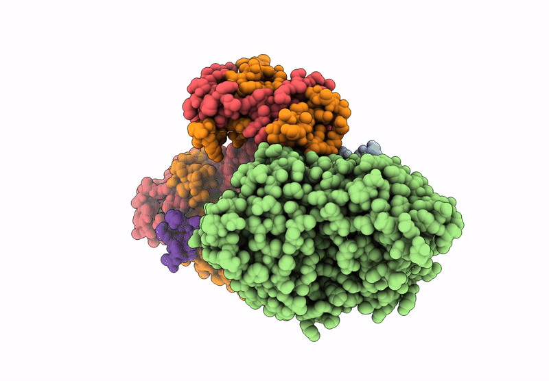 9I8V image