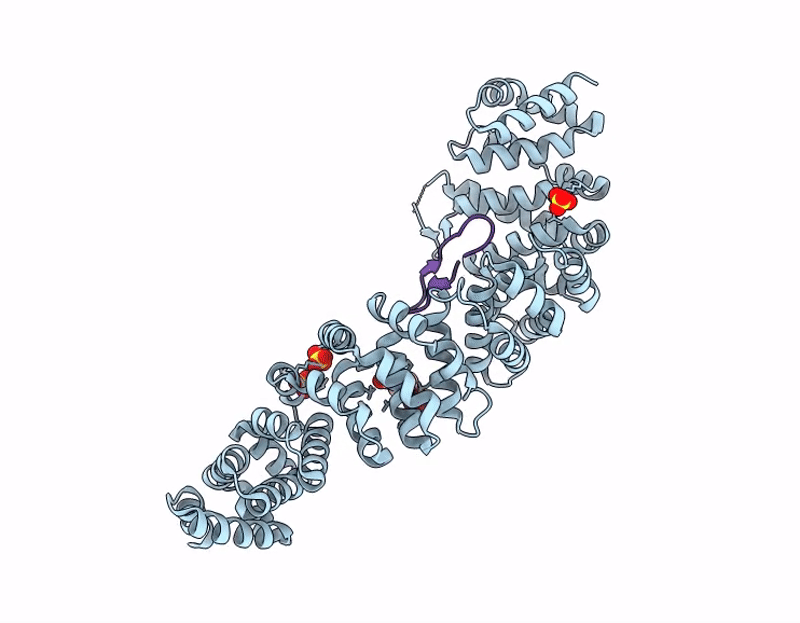 9I8W image
