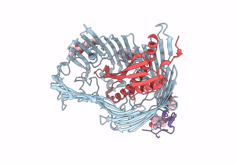 9I92 image