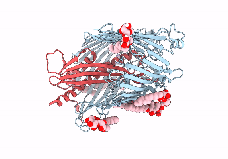9I94 image
