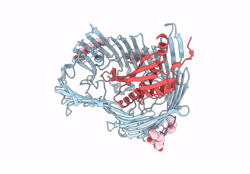 9I96 image
