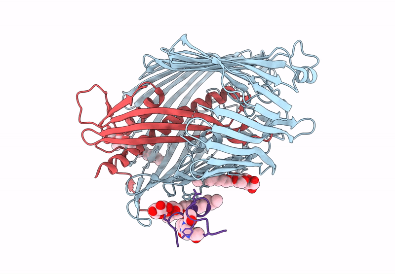 9I98 image