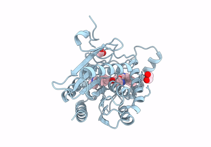 9I9C image