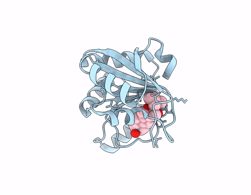 9I9G image