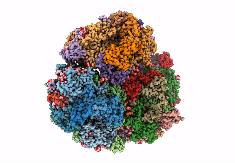 9I9L image