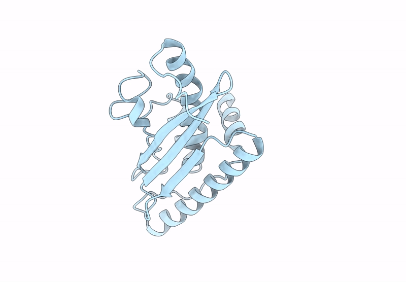 9I9O image