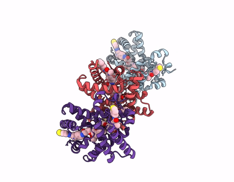 9I9R image