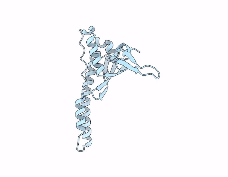 9IAE image