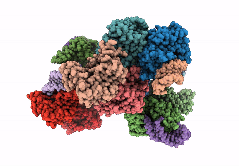 9IAK image
