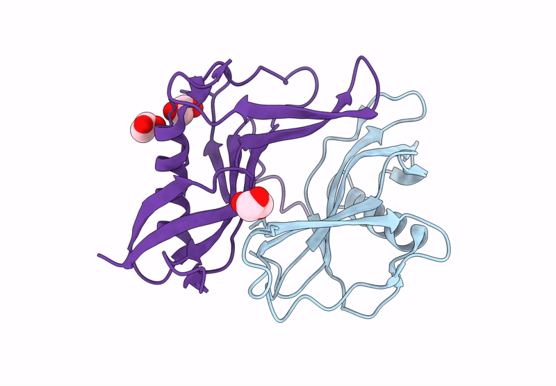 9IAV image