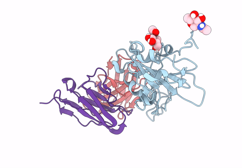 9IB1 image